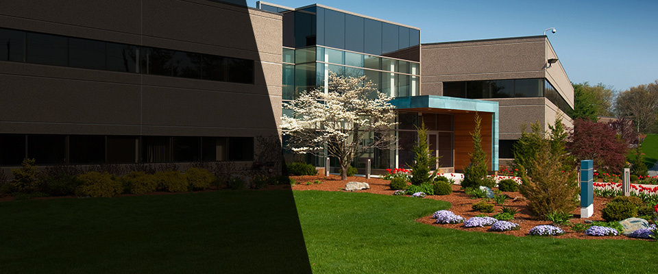 Buena Vista Landscapers