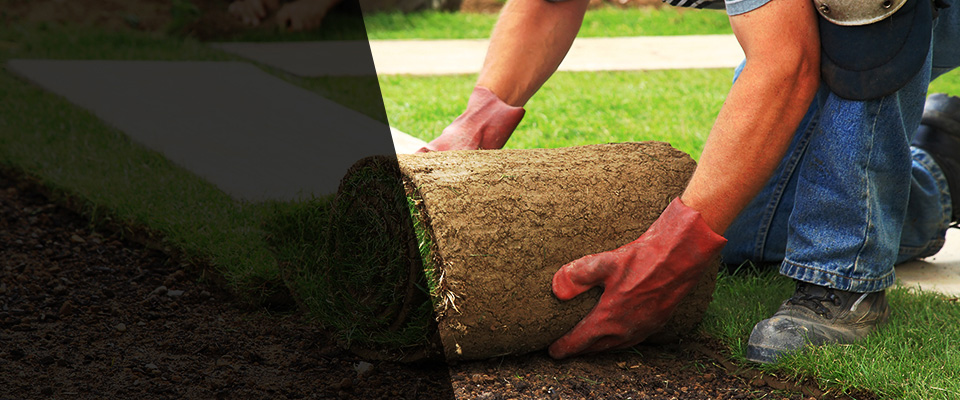 Buena Vista Landscapers